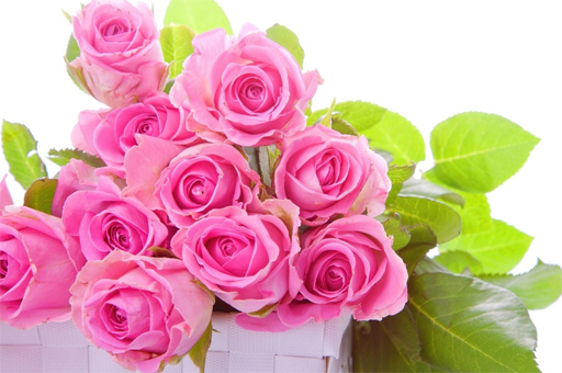 Image Pink roses puzzle