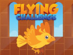 Flight challenge